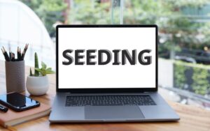 cách seeding hiệu quả